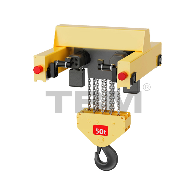 জেডএইচ টাইপ এনার্জি-সেভিং ইলেকট্রিক চেইন হোস্ট